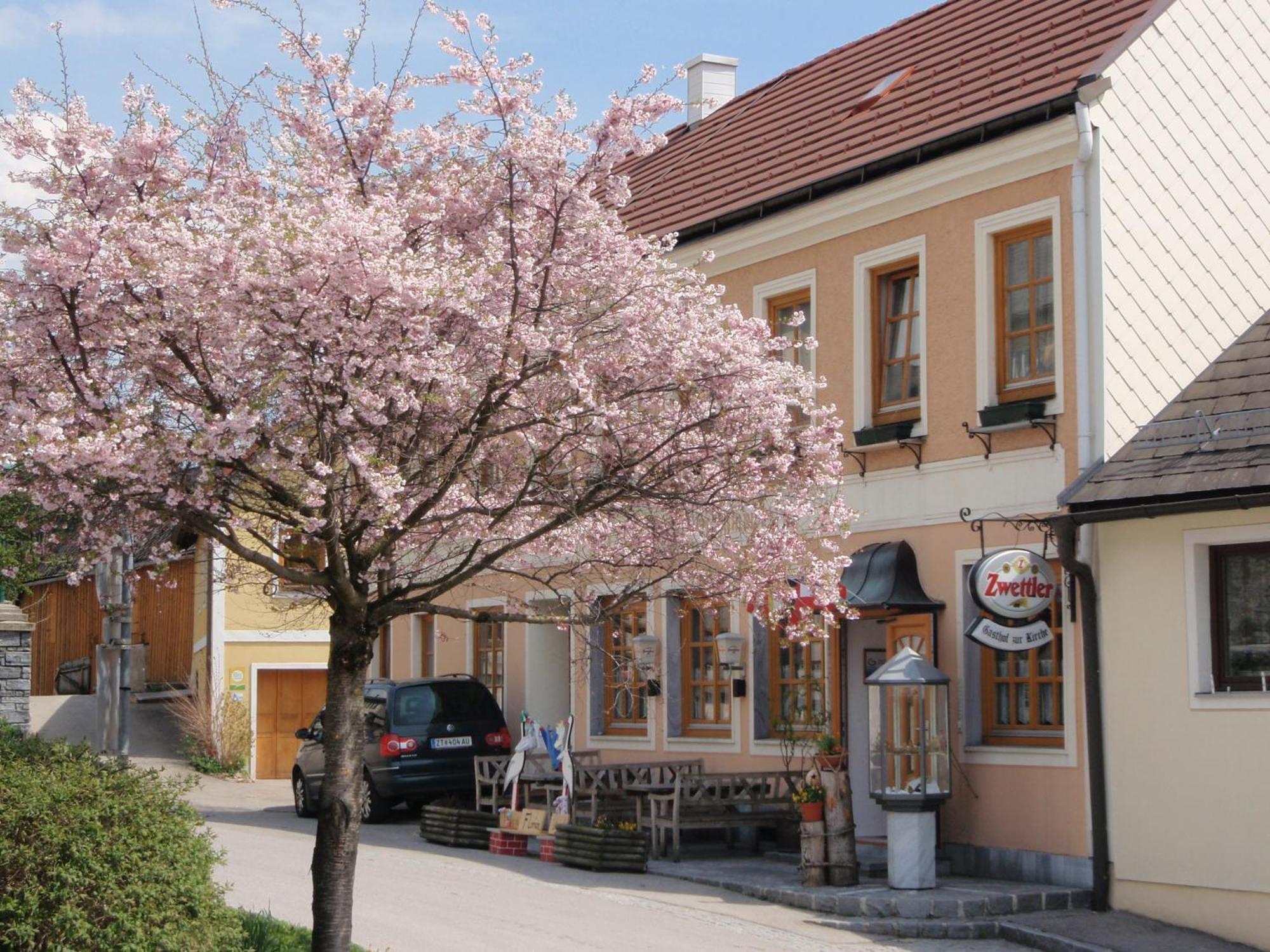 Hotel Gasthof Zur Kirche à Kottes Extérieur photo